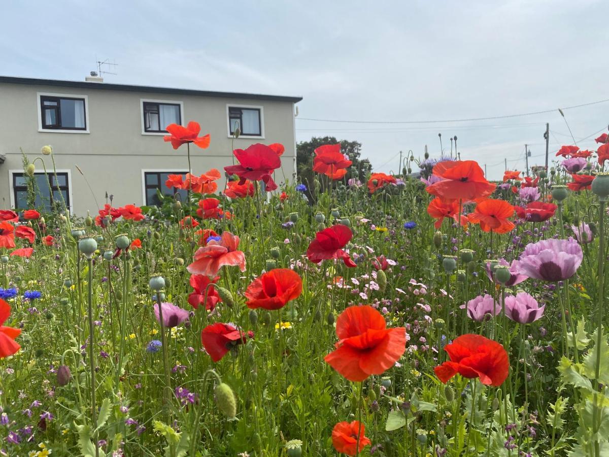 Bed & Breakfast Clonmore